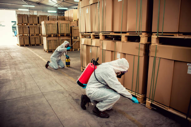 Best Pest Inspection Near Me  in Smithville, TX