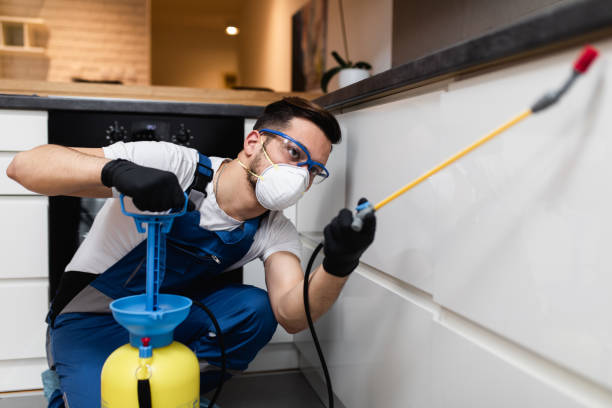 Best Flea Control Services  in Smithville, TX
