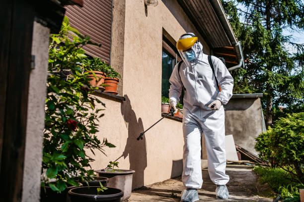 Best Cockroach Control Services  in Smithville, TX
