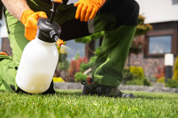 Best Mosquito Control Services  in Smithville, TX