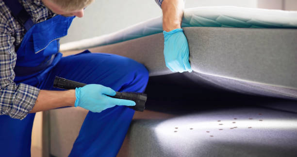 Flea Control Services in Smithville, TX