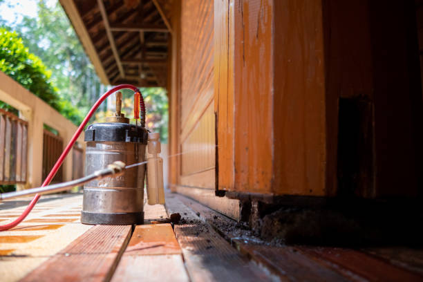 Best Termite Control Services  in Smithville, TX
