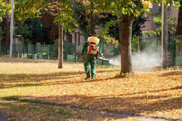 Best Residential Pest Control  in Smithville, TX