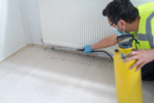 Best Pest Prevention Services  in Smithville, TX