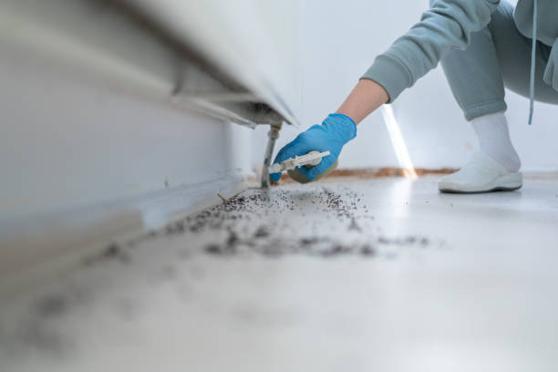Professional Pest Control in Smithville, TX