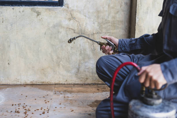 Best Pest Removal Services  in Smithville, TX