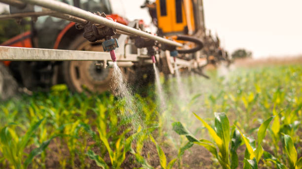 Insect Control in Smithville, TX