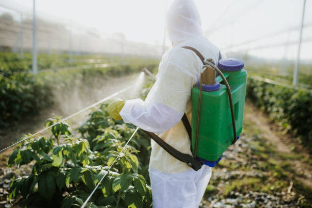 Best Pest Control Near Me  in Smithville, TX